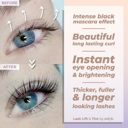 Ultimate Lash & Brow Lift with Tint (Black) Trio